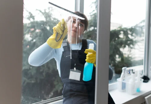 Nettoyage de vitres intérieures et extérieures à Sérigny